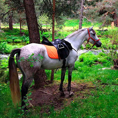 Southwestern Equine Ultra Slow Feeder Horse Hay Bag Extended Feeder Natural Grazing 